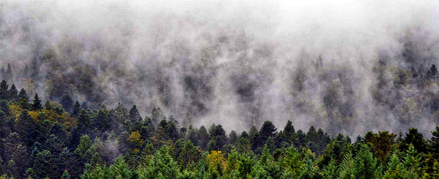 Vosges by David Penny